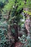 buche fiorentine